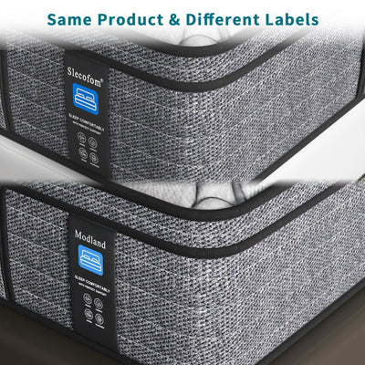 Matelas hybride Modland 14 pouces, plateau Euro - Mousse CertiPUR-US ignifuge pour soulager les maux de dos, lit simple/double/queen/king size