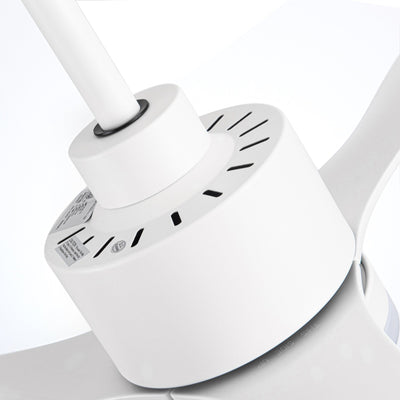 Ventilateur de plafond à DEL de 52 pouces avec télécommande (3 pales)