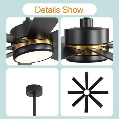 Ventilateur de plafond LED noir à 8 pales de 65 pouces avec éclairage et télécommande