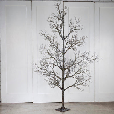 Arbre mort à 96 brindilles