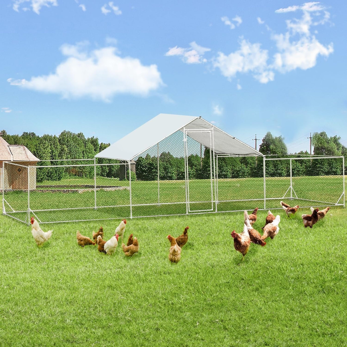 AECOJOY Grand poulailler en métal avec cage à poulets en métal