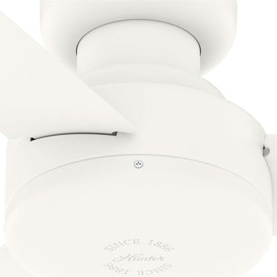 Pergola d'extérieur en acier de 10 pi x 13 pi, auvent de patio avec trous de drainage pour jardin, terrasse de piscine