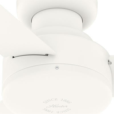 Pergola d'extérieur en acier de 10 pi x 13 pi, auvent de patio avec trous de drainage pour jardin, terrasse de piscine