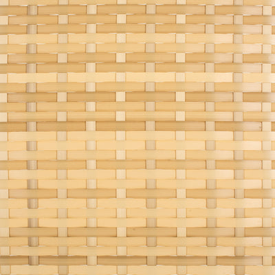 Lit de repos d'extérieur SAFAVIEH Taniyah en osier avec oreiller et coussins - 53 L x 28 P x 62 H