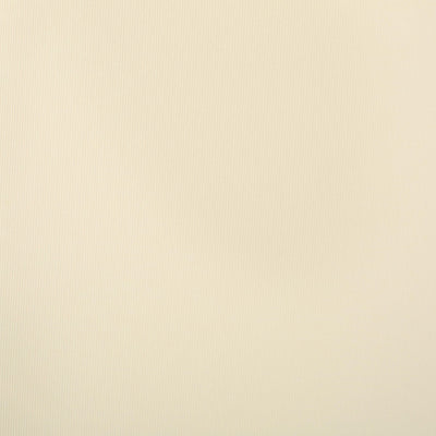 Ensemble de coussins d'extérieur Salem pour chaise longue - Coussins uniquement (lot de 2) par Christopher Knight Home - 79,25 L x 27,50 l x 1,50 H