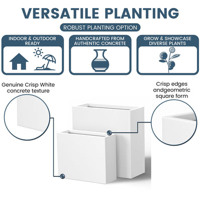 Jardinières rectangulaires en béton de grande taille / Grandes jardinières d'intérieur et d'extérieur