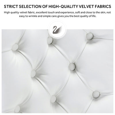 Chaise de salle à manger capitonnée en velours avec pieds en bois massif, lot de 6